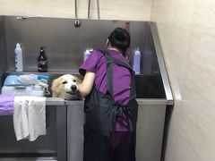 -创凡宠物医院·骨专科  猫科中心(西乡分院)