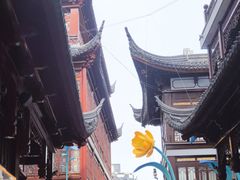 -Peet's Coffee皮爷咖啡(豫园店)