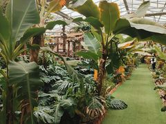 -呀路古热带植物园