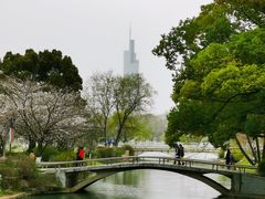 -玄武湖景区-情侣园游乐场