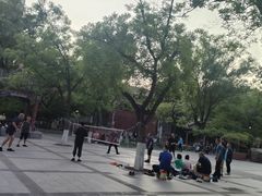 -文瀛公园