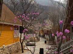 -北京水岸山吧度假村(雁栖镇店)