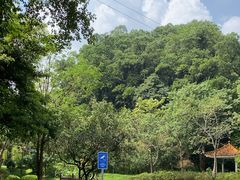 -火炉山森林公园