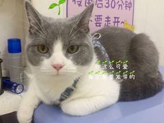 -芭比堂动物医院广州顽皮分院