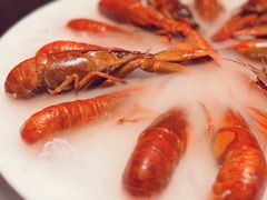 -红盔甲·小龙虾(人民广场店)