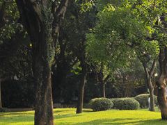 -晓港公园