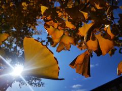 -艾溪湖湿地公园