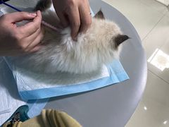 -福州肆爪动物医院