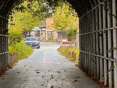 -蔡氏古民居建筑群