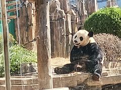 -大连森林动物园