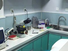-中农大我爱我爱24h动物医院·中医针灸·猫专科·骨科医疗中心(双井店)