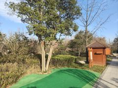 -思念果岭悦温泉