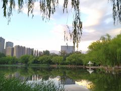-青城公园