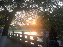 -飞虎过桥米线(翠湖店)