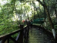 -三峡人家风景区