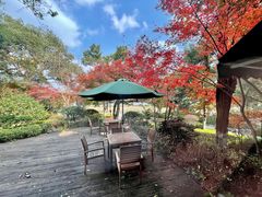 -浙江西子宾馆·瑶园咖啡厅