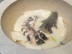 -滇小鱼·云南野生菌火锅(上杭路店)