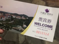 -大塘金香草谷