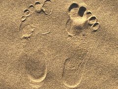 -亿利库布其七星湖沙漠生态旅游区