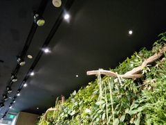 大堂-Seesaw Coffee(环贸iapm店)