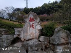 -重庆彩云湖湿地公园