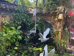 -园林美食城·本土农家菜(杨和镇店)