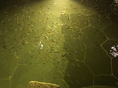 -苏州湾王焰温泉度假酒店
