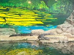 -上海海洋水族馆