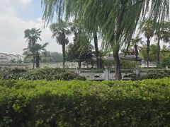 -爱特精英KET·PET·雅思托福·国际课程(苏悦广场店)