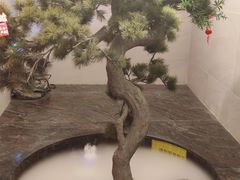-北国饭店.海鲜.北方菜(新河路店)