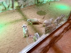 点击看大图 -宝燕乐园(闵行旗舰店)