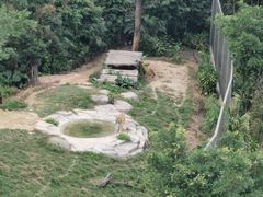 -广州长隆野生动物世界