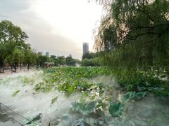 -渭滨公园