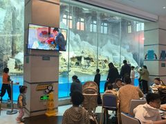 -帝企鹅自助餐厅•儿童岛•真企鹅(长隆企鹅酒店)