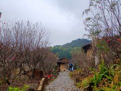 -南靖田螺坑土楼群景区