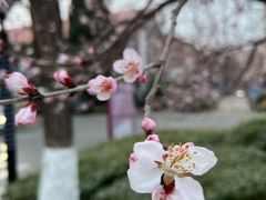 -益民餐厅(交通大学店)