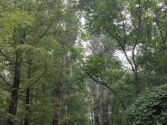 -白水寺森林公园