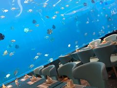 -瑞德姆美人鱼海底演艺主题餐厅(亚龙湾店)