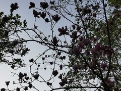 -福建鲤鱼洲酒店