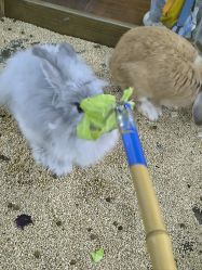 -未来动物城主题公园(正弘城店)