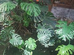 -聚缘堂·海鲜私房菜(松岭路店)