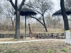 -北京野生动物园