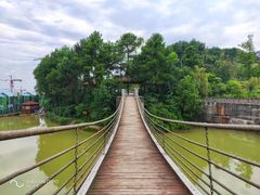 -铁山坪森林公园