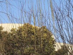 -张江润和国际总部园