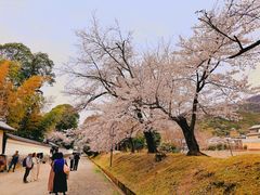 -醍醐寺