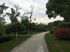 -尚贤河湿地
