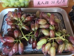 -白鹿原葡萄主题公园