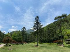 -姑婆山旅游区