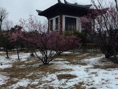 -合肥三国新城遗址公园