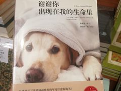 -成都民大动物医院